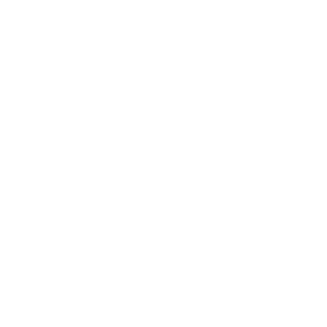 WhatsApp Icon