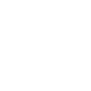 Telefon Icon